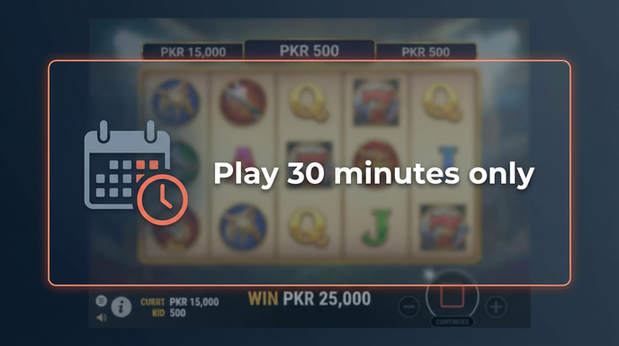 Payment and PKR controls in Pakspinx - 6